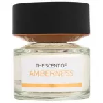 BMW Fragrances The Scent of Amberness EDP 100 ml