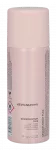 Kevin Murphy Session Spray Flex 100 ml