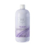 Inebrya Grey By Day Shampoo 1000 ml