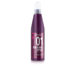 Salerm BRUSHING thermal protection kuumakaitse 250 ml
