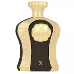 Afnan Highness X EDP 100 ml