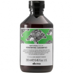 Davines Natural Tech Renewing Shampoo 250 ml