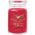 Sparkling Cinnamon Signature Candle 567 g