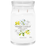Midnight Jasmine Signature Candle 110 g