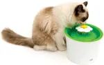 Catit Automaatne joogin&otilde;u kassidele 2.0 Flower 3L