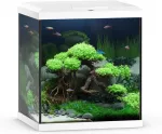 Juwel Akvaarium Vio Cube 54 valge