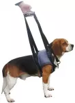 HUNDESPORTPROFI B.KLIN Genia K&auml;eshoitavad Traksid Haigele Koerale M (Eesmised K&auml;pad) 45-65cm / Sinine