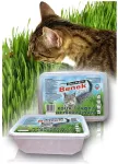 CERTECH Super Benek kassimuru 150g