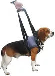 HUNDESPORTPROFI B.KLIN Genia K&auml;eshoitavad Traksid Haigele Koerale S (Eesmised K&auml;pad) 30-45cm / Sinine