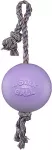 JOLLY PETS Koera M&auml;nguasi Romp-n-Roll, lilla 10cm (Ujub vees)