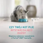 PURINA One Hydralife Salmon - cat treats - 50g