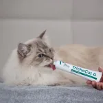 VetExpert TrichoCat - anti-hairball paste for cats - 50 g