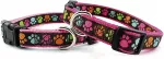 Record Dog collar 1,9 x 45-50 cm pink