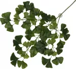 Terra Della UNSORTED Terraariumi dekoor koos iminapiga Ginko 63x36x5cm tume roheline