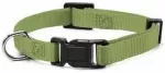 Record Dog collar 2,5 x48-63 cm green