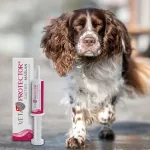 JM Sante VET PROTECTOR Gastro Butyrate - supplements for dog and cat - 60ml