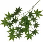 Terra Della UNSORTED Terraariumi dekoor koos iminapiga Cannabis 65x40x5cm roheline