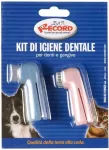 Record Brushes oral kit 2 pcs