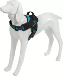FREEDOG Strong sinised traksid koerale L