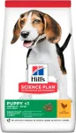 HILL'S Science Plan koeratoit kanaga keskmist kasvu kutsikale 14kg