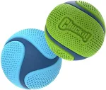 CHUCKIT! M&auml;nguasi Koerale - Sniff Fetch Ball Duo M, 2tk