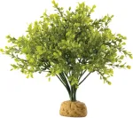 Exo Terra Terraariumi dekoor EXO-TERRA Boxwood Bush