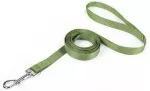 Record Dog leash 2,5 x100 cm green