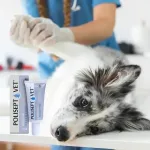 JM Sante Polisept Vet Wound gel Silver Pro - gel dressing for dogs and cats &ndash; 30 ml