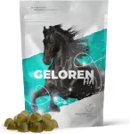 GELOREN Horse HA Joints - vitamins for horses - 450g