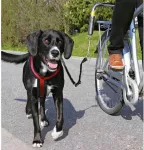 TRIXIE Koerarihm koos jalgrattakinnitusega