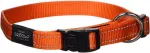Rogz Kaelarihm Fanbelt 20mm/34-56cm oranž