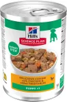 HILL'S HILLS KUTSIKA HAUTIS KANA/K&Ouml;&Ouml;GIVILI 363G