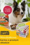 ANIMAL ISLAND Everyday Monoprotein Veal, Duck, Turkey - wet dog food - 9x300g