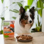 ANIMAL ISLAND Everyday Monoprotein Duck - wet dog food - 300g