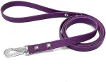 ONEGA Biothane Jalutusrihm Koerale, Lilla 16mm x 2m
