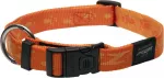 Rogz Kaelarihm Everest 25mm/43-70cm oranž