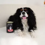 PAKA ZWIERZAKA Seventh Heaven Rabbit with blueberries Mono - wet dog food - 400g