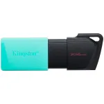 Kingston Flash Dtxm USB3.2 256 GB m&auml;lupulk