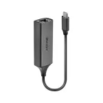 Lindy T&uuml;&uuml;p Gigabit Etherneti v&otilde;rguadapter