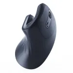 Gembird Optical Ergonomic MUSW-ERGO-03 hiir