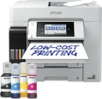Epson Mitmeotstarbeline EcoTank* printer
