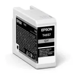 Epson Singlepack hall T46S7