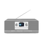 TechniSat Raadio Technsat helis&uuml;steem