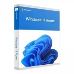 Microsoft Software WIN HOME FPP 11 64-bit Eng Intl USB