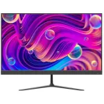Hikvision DS-D5024F2-BV2S monitor