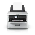 Epson Patrone DURABrite