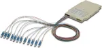 Digitus liitmiskarp 12 pigtailiga