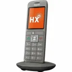 Gigaset Lauatelefon 660