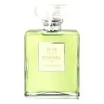 Chanel Chanel, Chanel N&deg;19 Poudre, parf&uuml;&uuml;mvesi, naistele, 100 ml *testijaekindel
