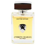 Andrew Hilfiger Andrew Hilfiger Scottish Antique tualettvesi meestele, 100 ml